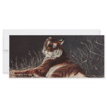Shakiri Full Color Rack Card