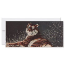 Shakiri Full Color Rack Card