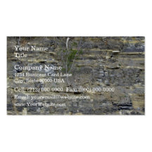 Shale outcrop business card template