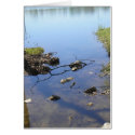 Shallow to Deep Card by duelingdualities Shallow to Deep Card