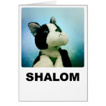Shalom Card cards