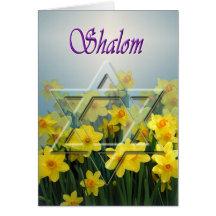Shalom - Passover card with Star of David