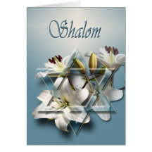 Shalom - Passover card with Star of David