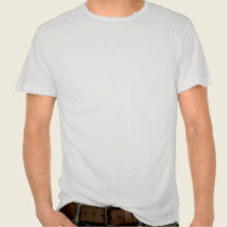 Shalom t-shirts