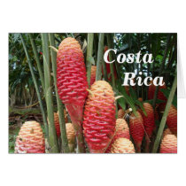 Shampoo Ginger, Costa Rica Greeting Card