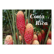 Shampoo Ginger, Costa Rica Greeting Card