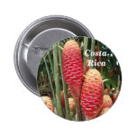 Shampoo Ginger, Costa Rica Pins