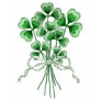 Shamrock Bouquet Shirts