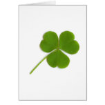 Shamrock Cards