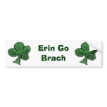 Shamrock copy, Shamrock copy