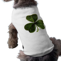 Shamrock For Irish Setter, etc. pet clothing by clarachandler Shamrock For Irish Setter, etc. pet clothing