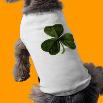 Shamrock For Irish Setter, etc. pet clothing