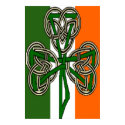 Shamrock Knot Cross Flag Poster Print
