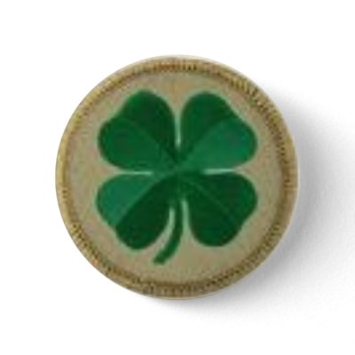 shamrock pin by hdm913