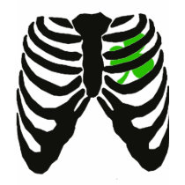 Shamrock-Rippen t-shirts