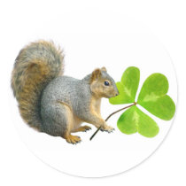 Shamrock Squirrel Stickers