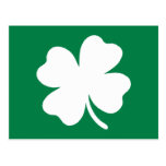 Shamrock  St Patricks Day Ireland Postcard