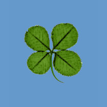 Shamrock T-Shirt by voodoomama Shamrock T-Shirt