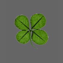 Shamrock T-Shirt
