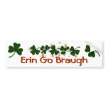 Shamrocks Bumper Sticker
