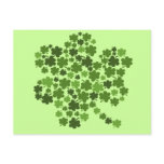 Shamrocks In A Shamrock Post Card