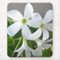 Shamrocks mousepads