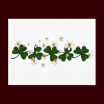Shamrocks postcards