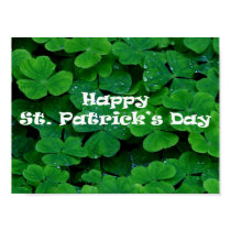 Shamrocks posters