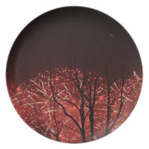Shanghai Worlds Fair Fireworks plates