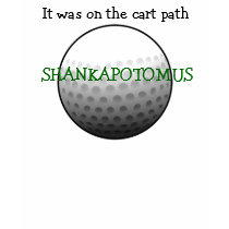 SHANKAPOTOMUS girls tee t-shirts