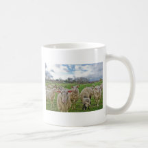 Shannon DE CELLE  PHOTOGRAPHY Mugs