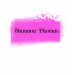Ladies Twofer Sheer (Fitted)