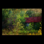 Shanty In The Woods posters