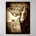 Shaowmanship Sepia Poster