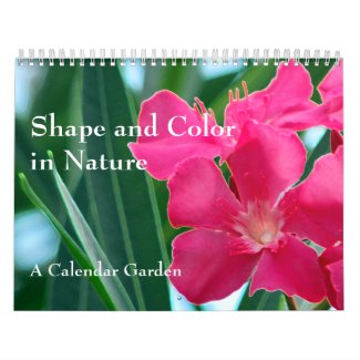 Shape and Color in Nature Calendar