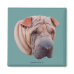 Shar Pei Animal Dog Photo Magnet