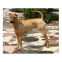 Shar-Pei Bone Mouth posters