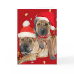 Shar-pei Brothers Christmas Cards