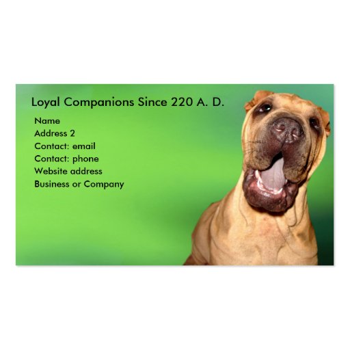 Shar-pei Business Card (front side)