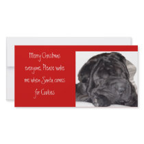 Shar pei Christmas -Please wake... photo cards