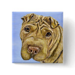 Shar Pei Dog Art - Aspen Buttons