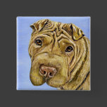 Shar Pei Dog Art - Aspen Buttons