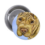 Shar Pei Dog Art - Aspen Buttons