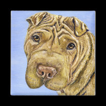 Shar Pei Dog Art - Aspen magnets
