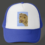 Shar Pei Dog Art - Aspen Hat