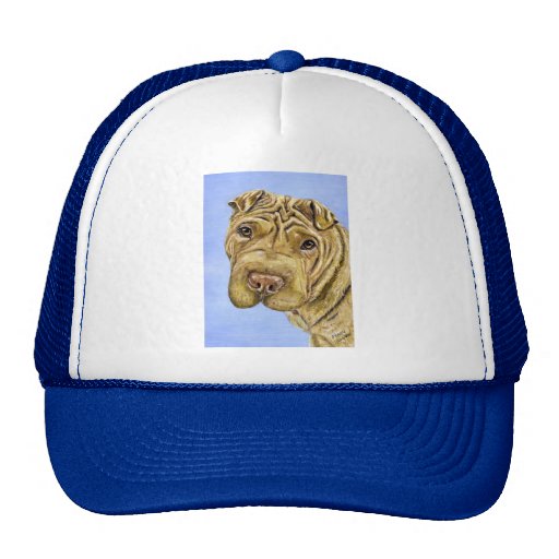 Shar Pei Dog Art - Aspen Hat