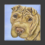 Shar Pei Dog Art - Aspen Fridge Magnet
