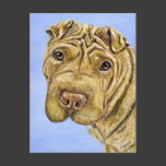 Shar Pei Dog Art - Aspen Postcards