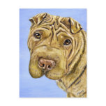 Shar Pei Dog Art - Aspen Postcards