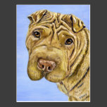 Shar Pei Dog Art - Aspen Postcards